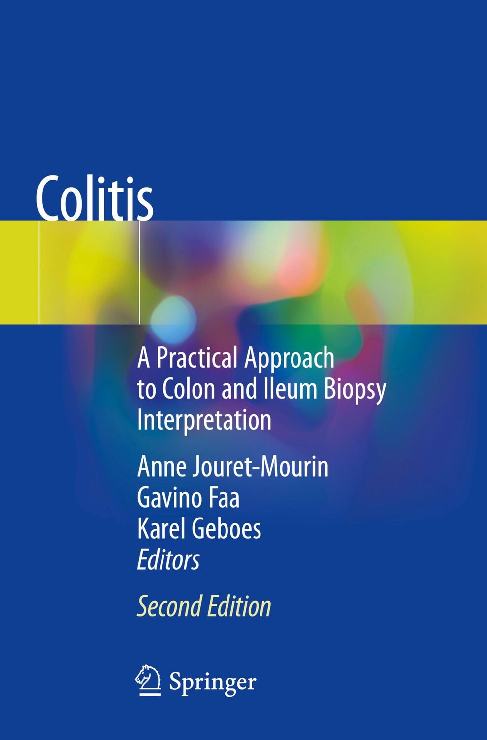 Cover: 9783319895024 | Colitis | Anne Jouret-Mourin (u. a.) | Taschenbuch | Paperback | x