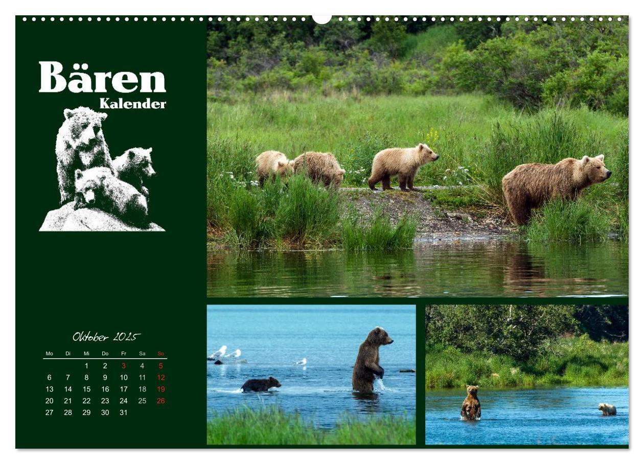 Bild: 9783435709519 | Bärenkalender (Wandkalender 2025 DIN A2 quer), CALVENDO Monatskalender