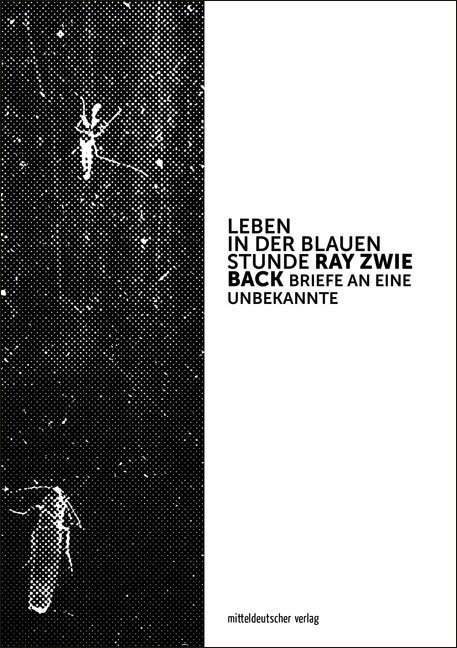 Cover: 9783963110160 | Leben in der blauen Stunde | Briefe an eine Unbekannte | Ray Zwie Back