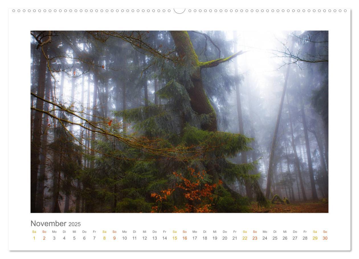 Bild: 9783435411092 | Im Märchenwald des Untertaunus (hochwertiger Premium Wandkalender...