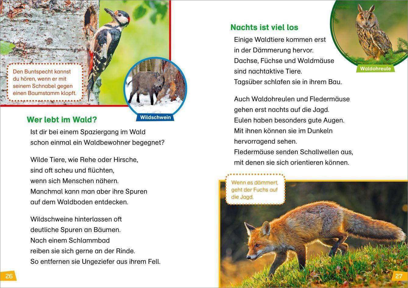 Bild: 9783788626402 | WAS IST WAS Erstes Lesen Band 4. Natur entdecken | Christina Braun