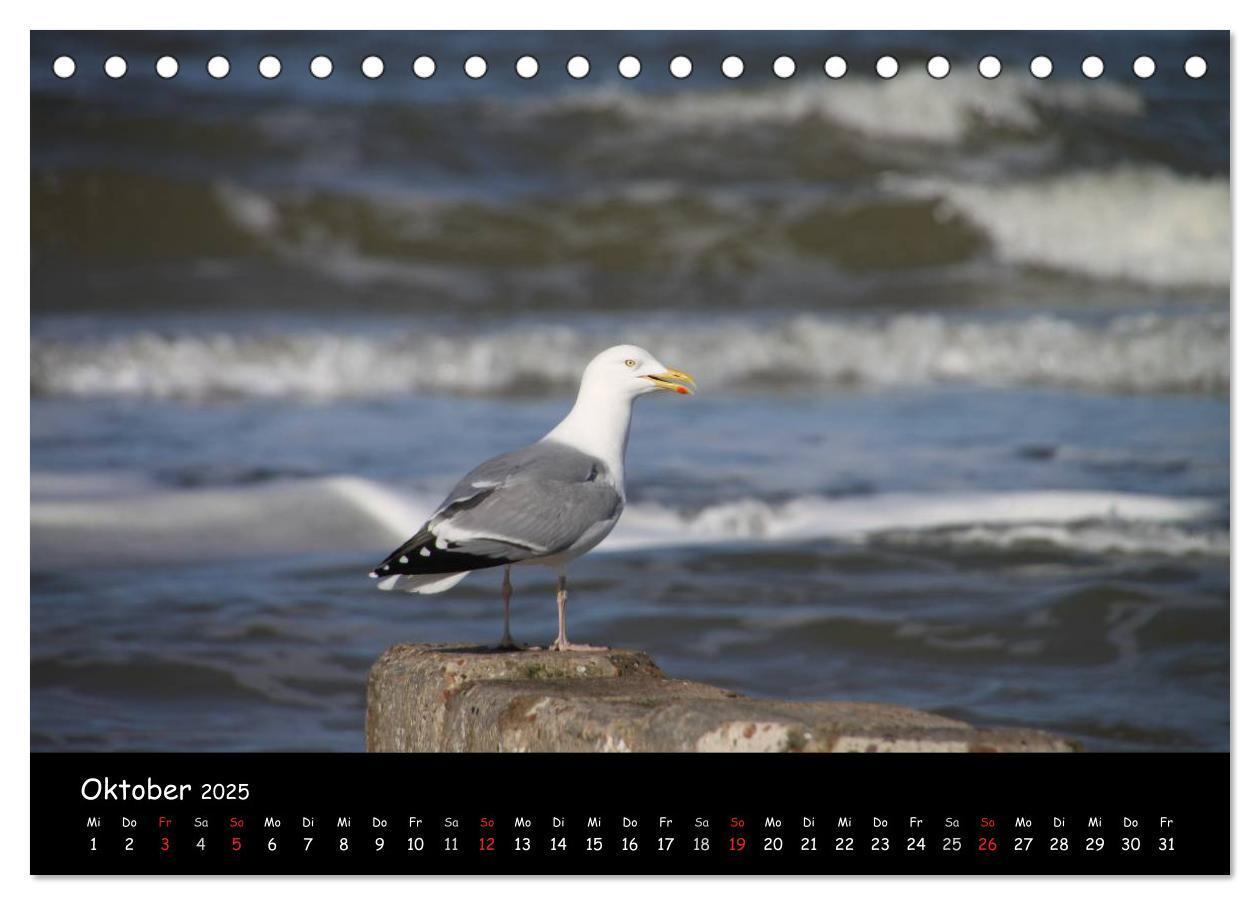 Bild: 9783435821853 | Sylt (Tischkalender 2025 DIN A5 quer), CALVENDO Monatskalender | 2025