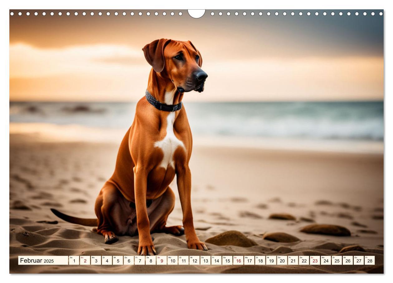 Bild: 9783457146064 | Rhodesian Ridgeback - Athlet mit Rückenkamm (Wandkalender 2025 DIN...