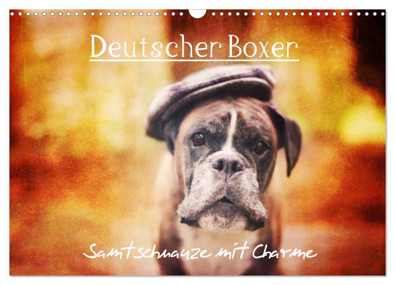 Cover: 9783435614196 | Deutscher Boxer (Wandkalender 2025 DIN A3 quer), CALVENDO...