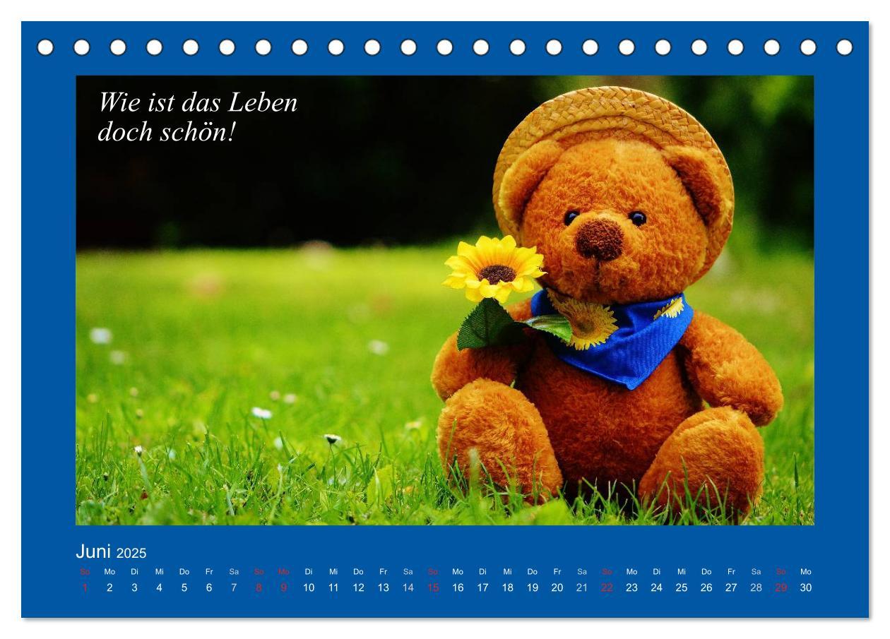 Bild: 9783435593972 | Sommer im Teddy-Land. Bär und Freunde (Tischkalender 2025 DIN A5...