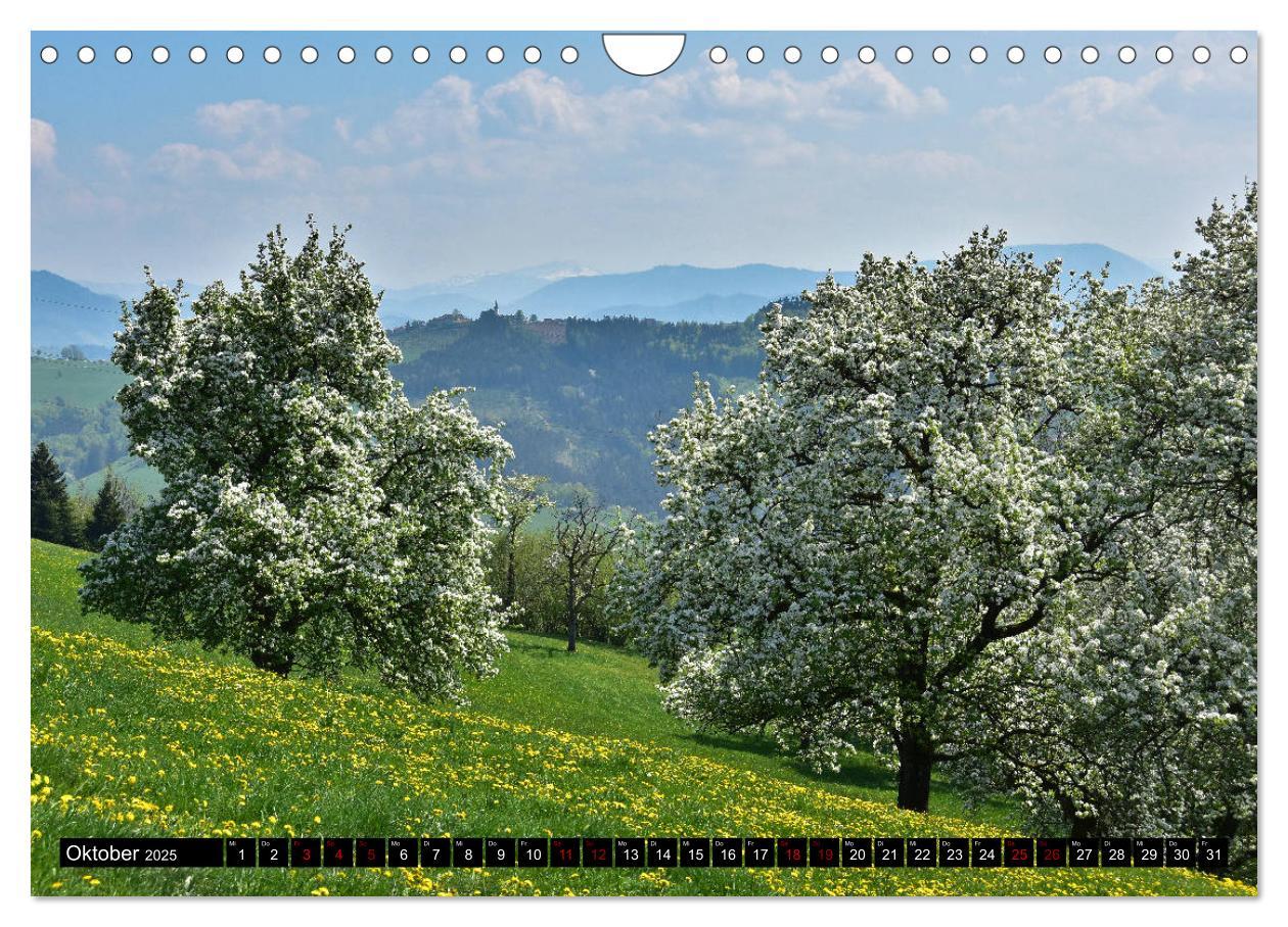 Bild: 9783435288618 | Frühling im Mostviertel (Wandkalender 2025 DIN A4 quer), CALVENDO...