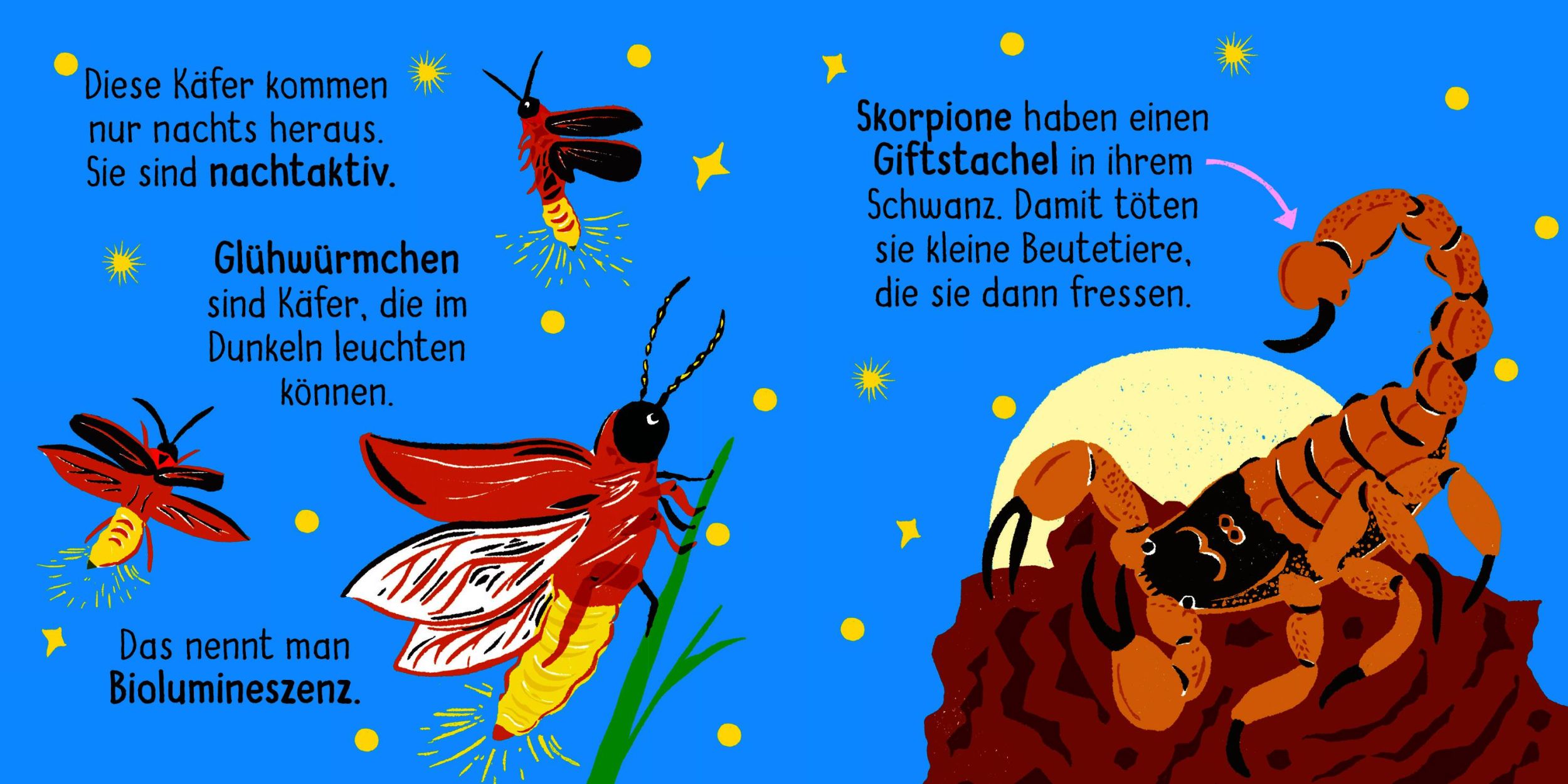 Bild: 9783411722280 | 50 Wörter über die Natur - Insekten | Lily Holland | Buch | 32 S.