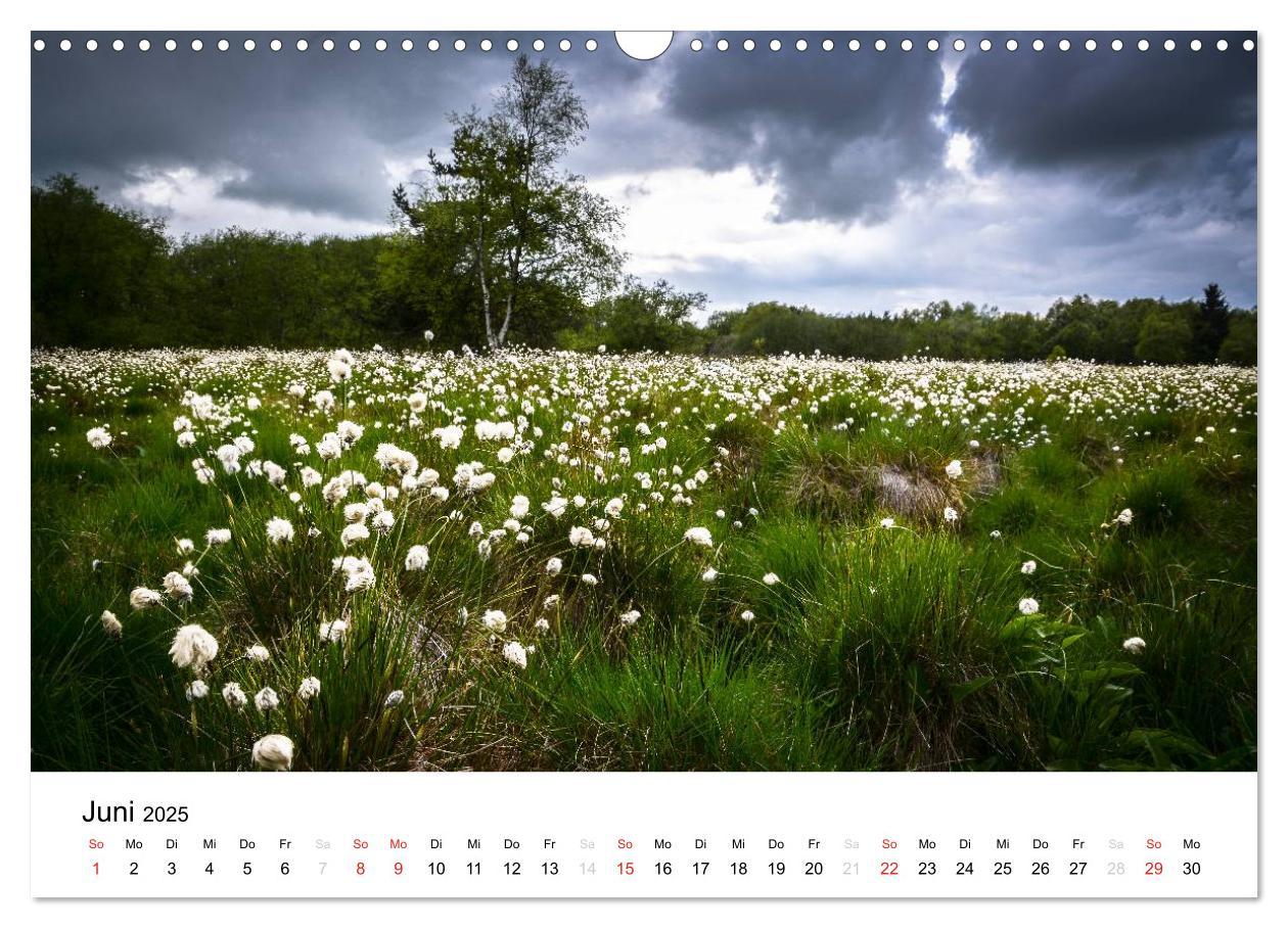 Bild: 9783435499380 | Naturerlebnis im Biosphärenreservat Rhön (Wandkalender 2025 DIN A3...