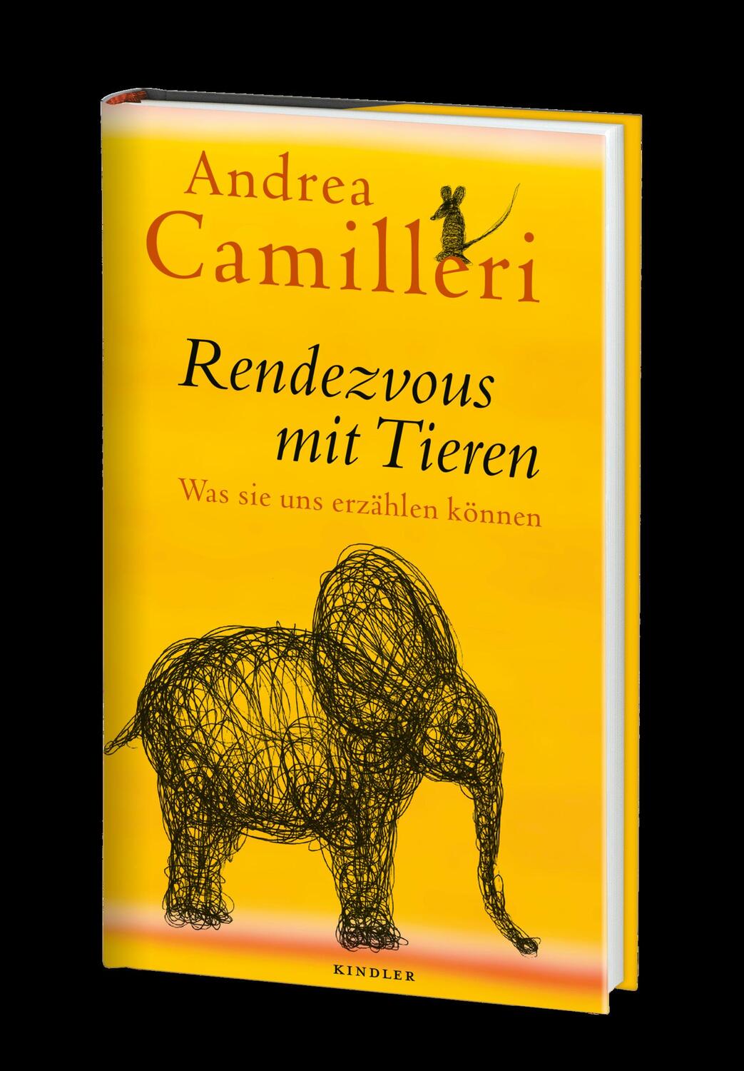 Bild: 9783463000152 | Rendezvous mit Tieren | Was sie uns erzählen können | Andrea Camilleri