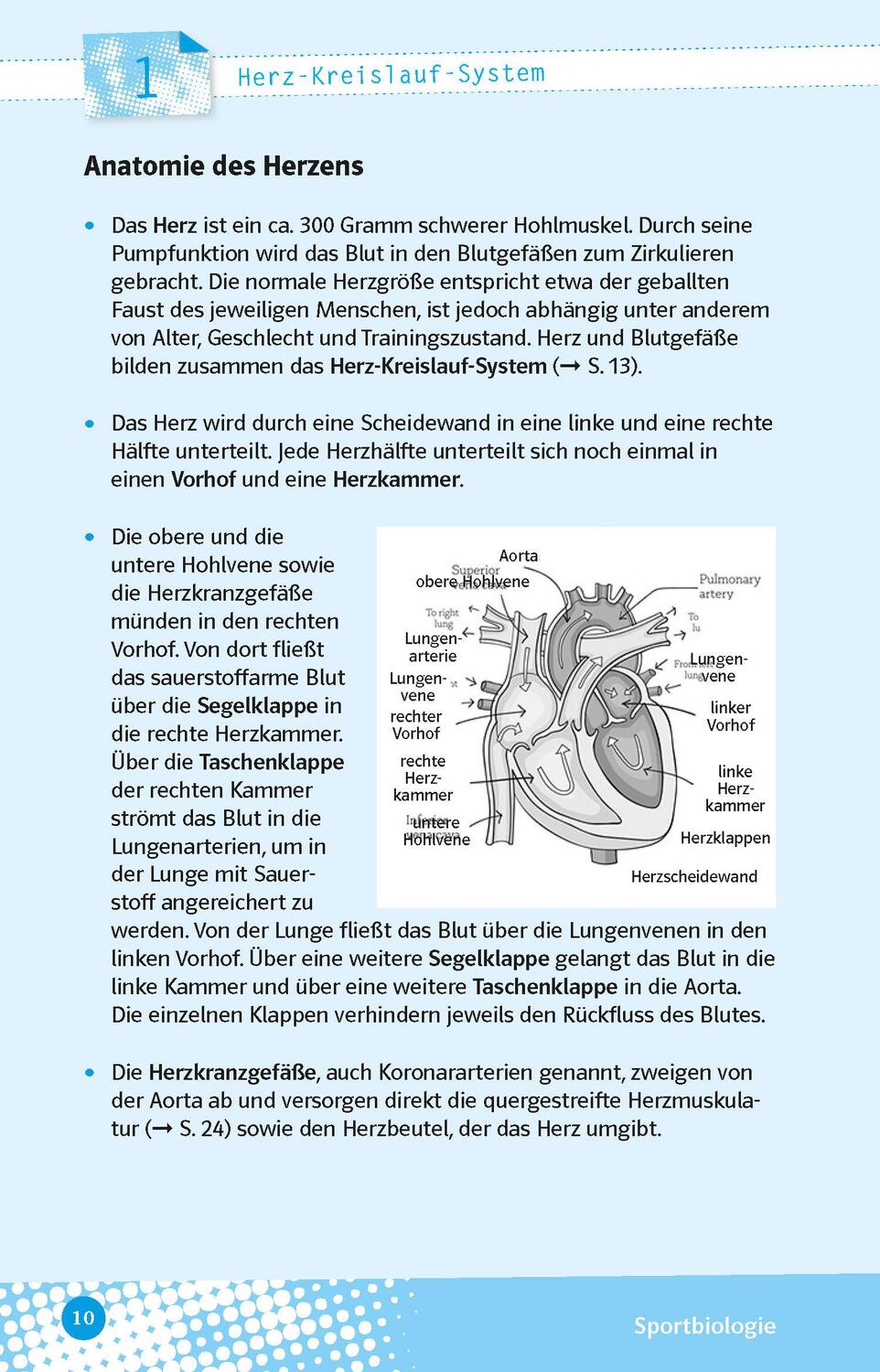 Bild: 9783129497494 | Abi last minute Sport | Taschenbuch | 160 S. | Deutsch | 2023