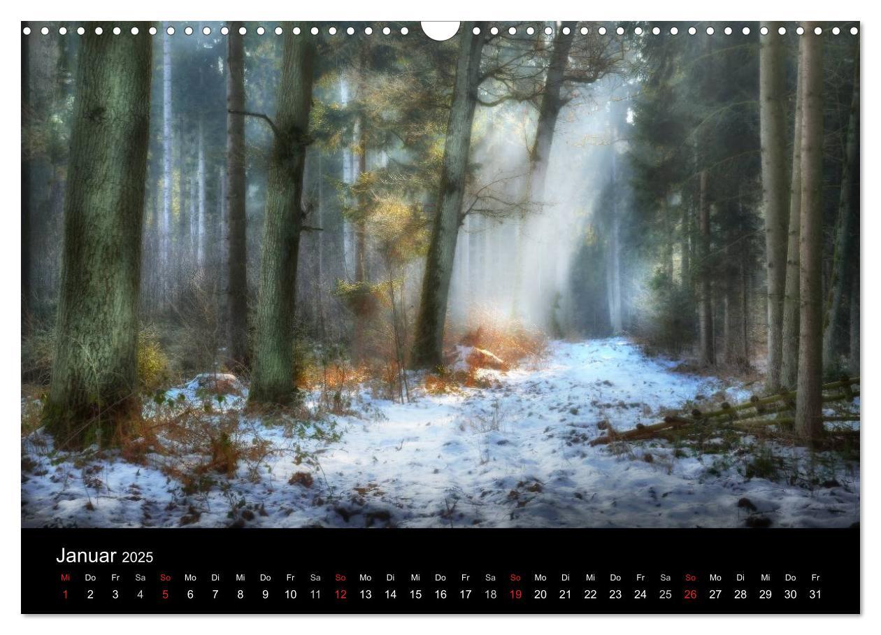 Bild: 9783435781447 | Waldkalender (Wandkalender 2025 DIN A3 quer), CALVENDO Monatskalender