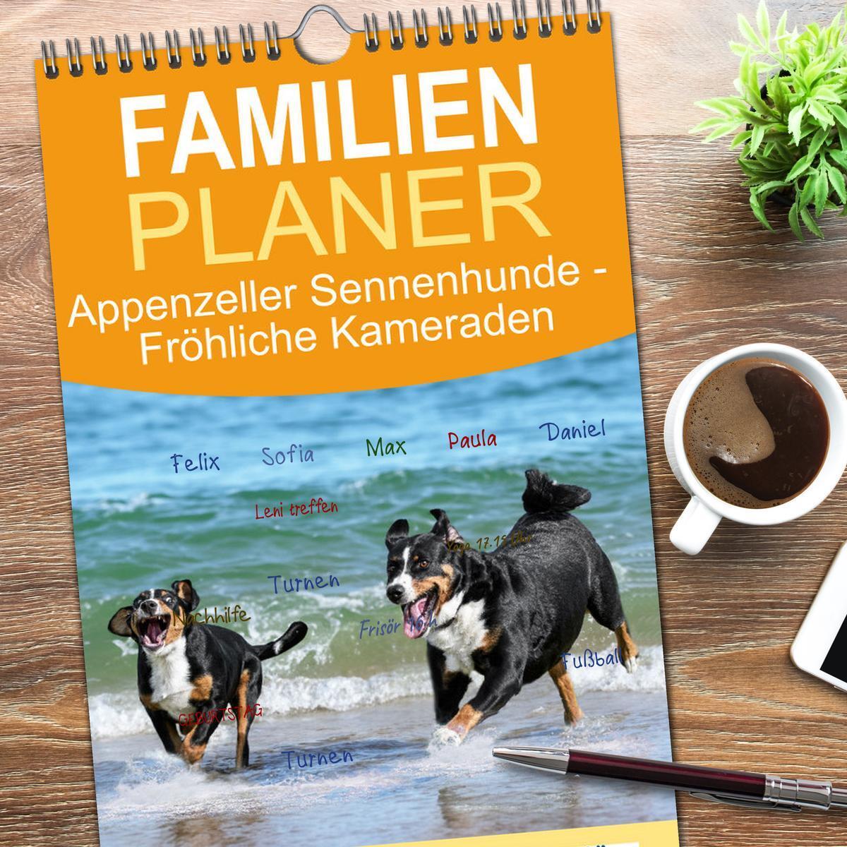 Bild: 9783457090695 | Familienplaner 2025 - Appenzeller Sennenhunde - Fröhliche Kameraden...