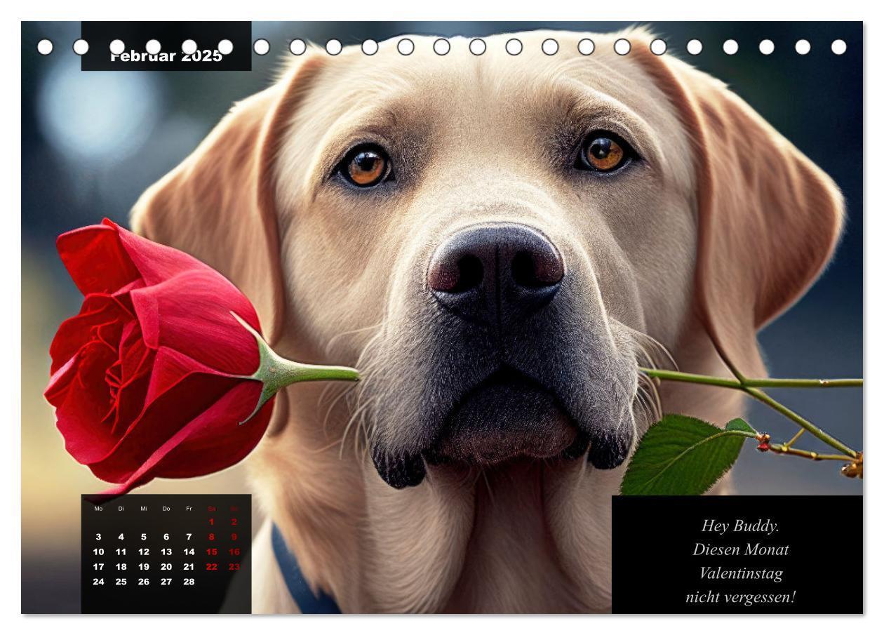 Bild: 9783435369027 | Der witzige Labrador-Kalender (Tischkalender 2025 DIN A5 quer),...