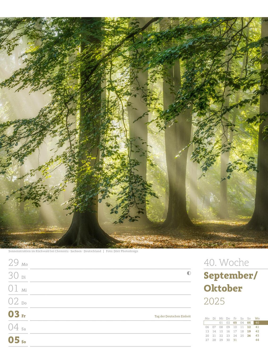 Bild: 9783838425979 | Unser Wald - Wochenplaner Kalender 2025 | Ackermann Kunstverlag | 2025