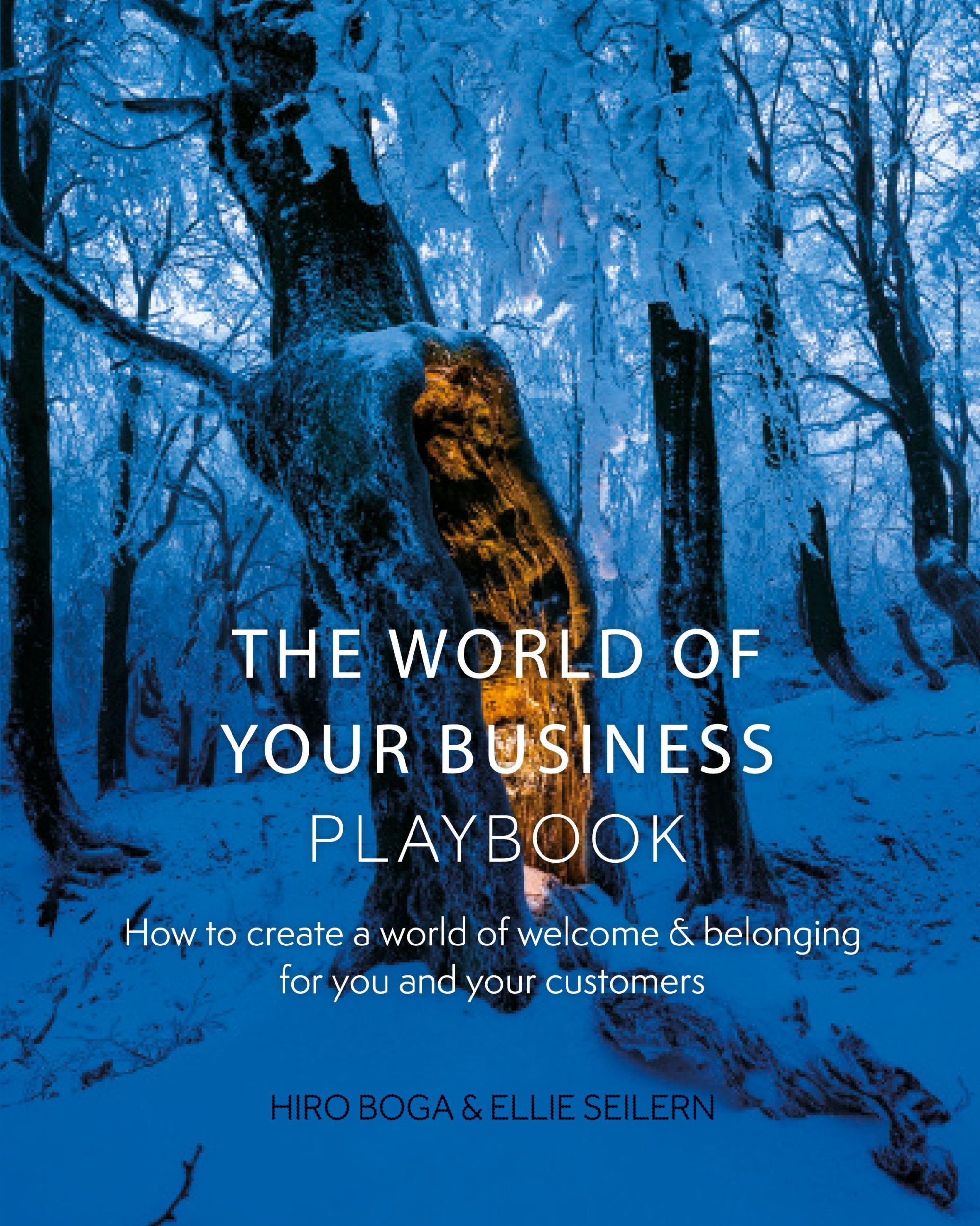 Cover: 9781738335701 | The World of Your Business Playbook | Hiro Boga (u. a.) | Taschenbuch