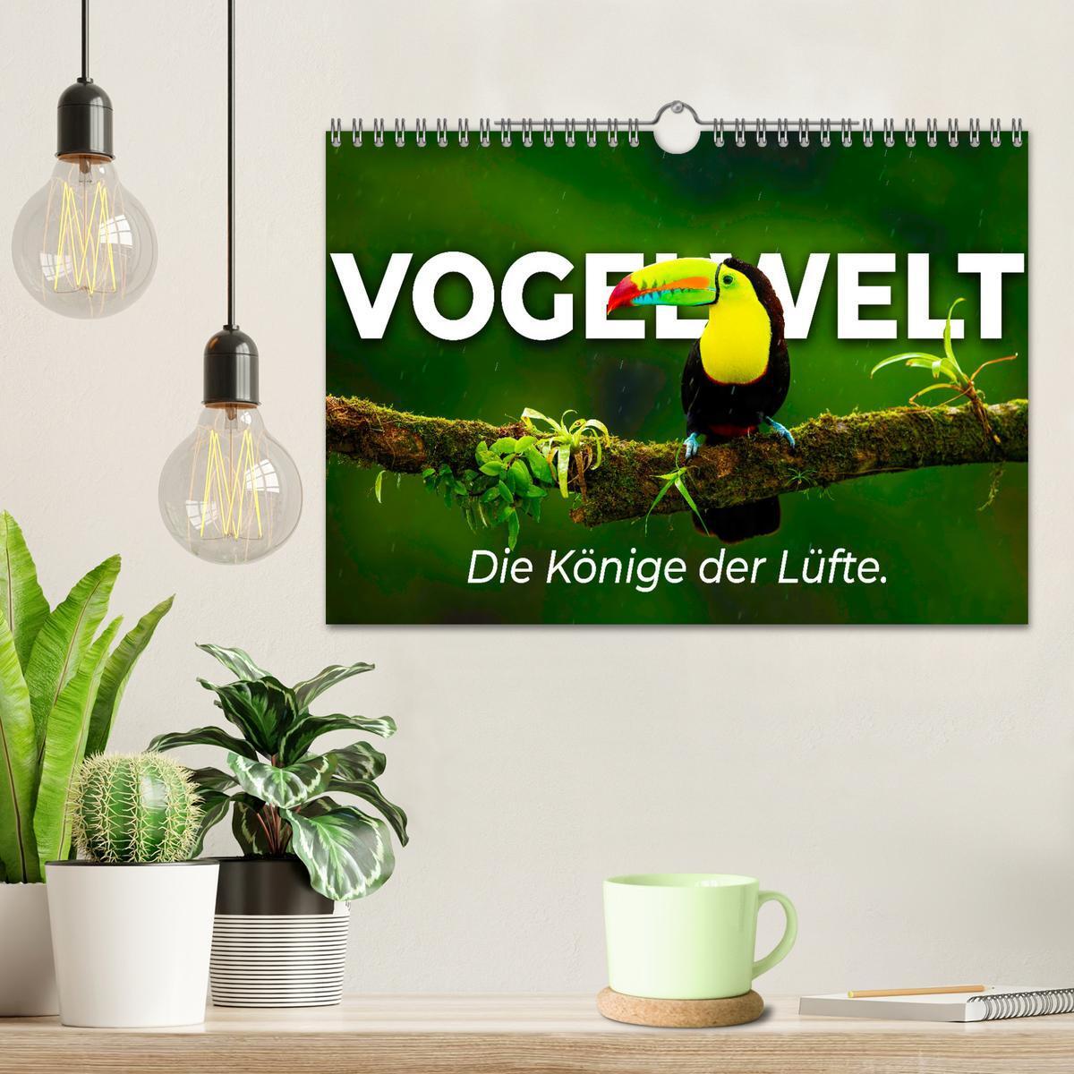 Bild: 9783435041466 | Vogelwelt - Die Könige der Lüfte. (Wandkalender 2025 DIN A4 quer),...