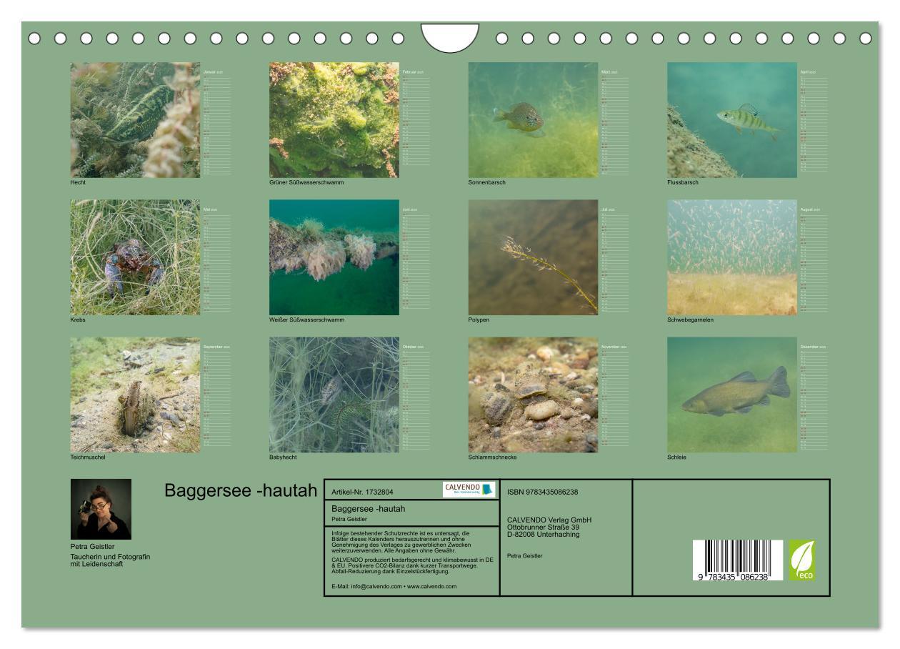 Bild: 9783435086238 | Baggersee -hautah (Wandkalender 2025 DIN A4 quer), CALVENDO...