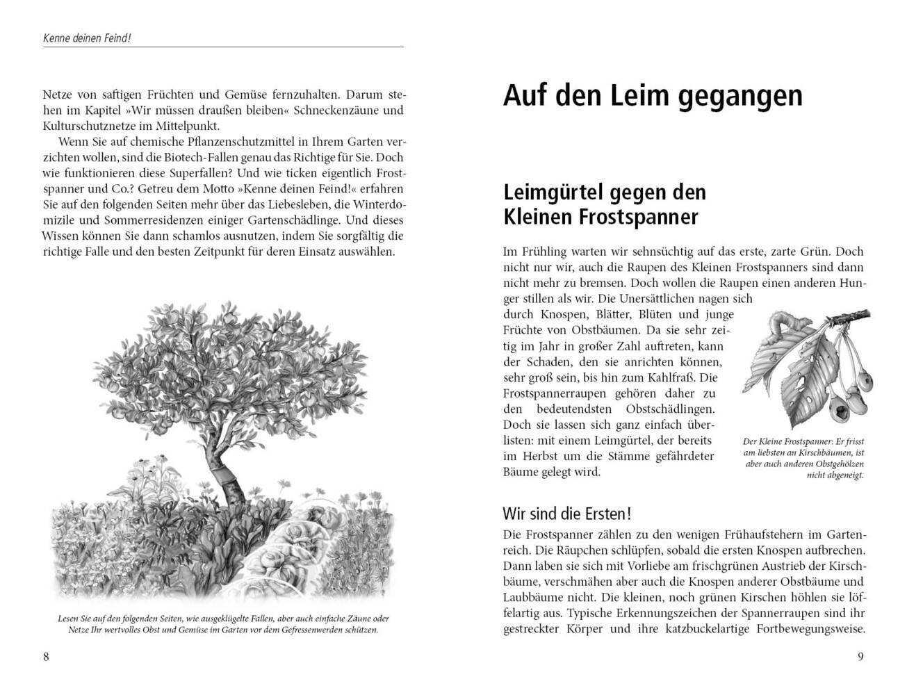 Bild: 9783895662881 | In die Falle gegangen | Natalie Faßmann | Buch | 2011 | Pala-Verlag