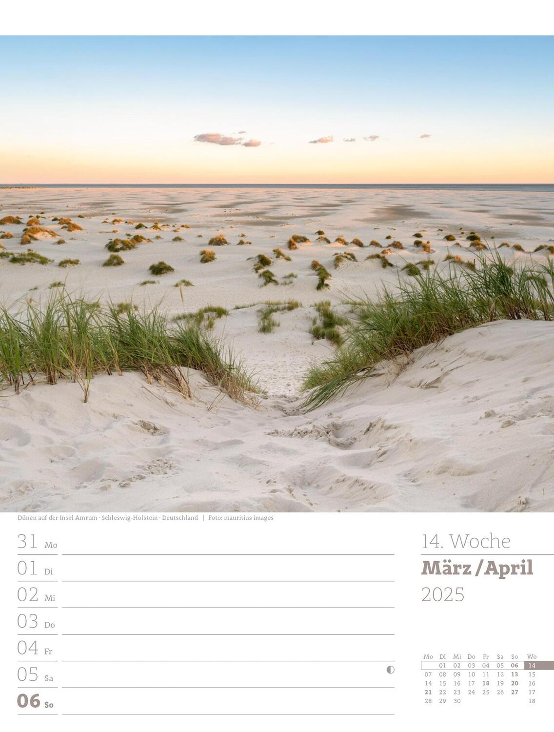 Bild: 9783838435039 | Am Meer - Wochenplaner Kalender 2025 | Ackermann Kunstverlag | 56 S.