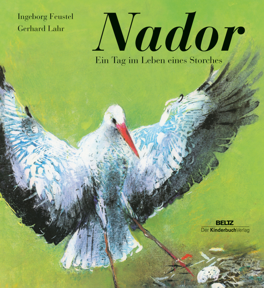 Cover: 9783407770585 | Nador | Ein Tag im Leben eines Storches | Ingeborg Feustel | Buch