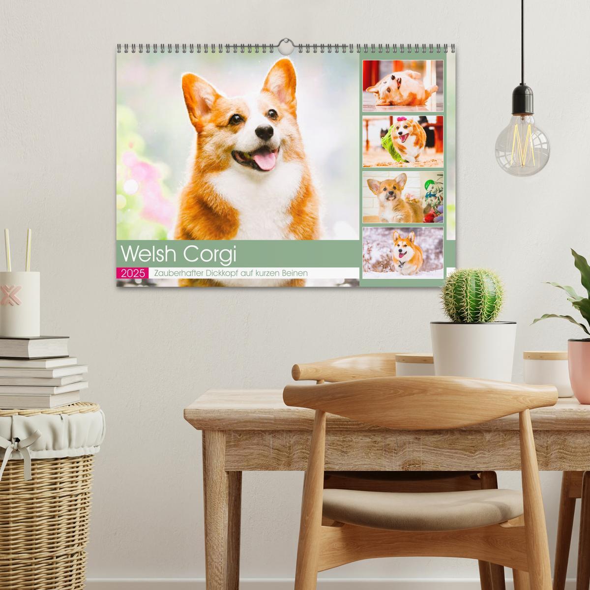 Bild: 9783435019809 | Welsh Corgi. Zauberhafter Dickkopf auf kurzen Beinen (Wandkalender...