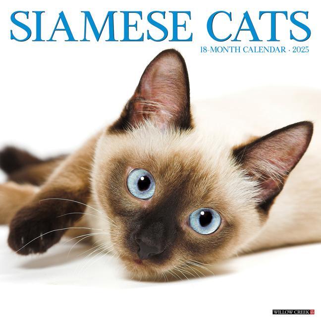 Cover: 9781549244889 | Siamese Cats 2025 12 X 12 Wall Calendar | Willow Creek Press | 2025