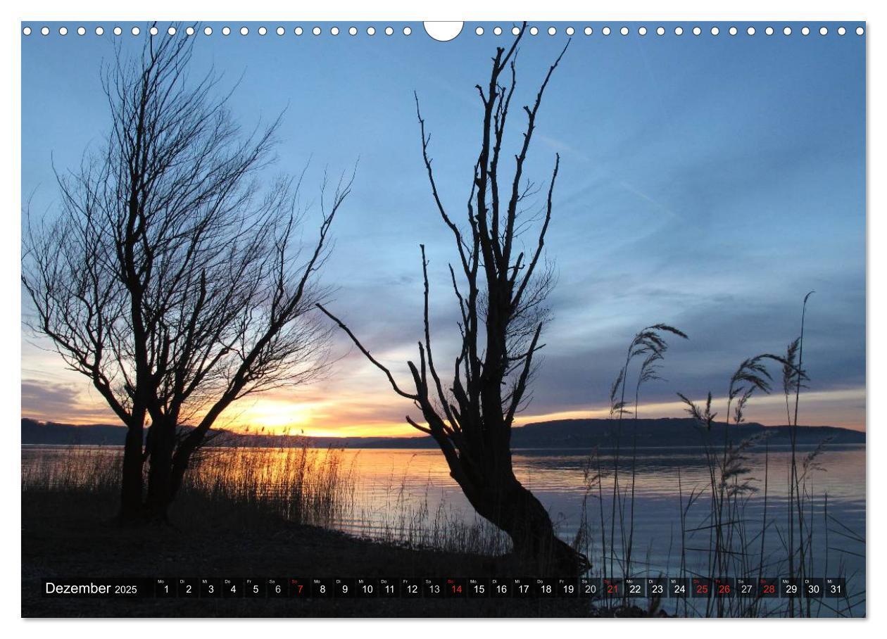 Bild: 9783435696093 | Zauberhafter Bodensee (Wandkalender 2025 DIN A3 quer), CALVENDO...