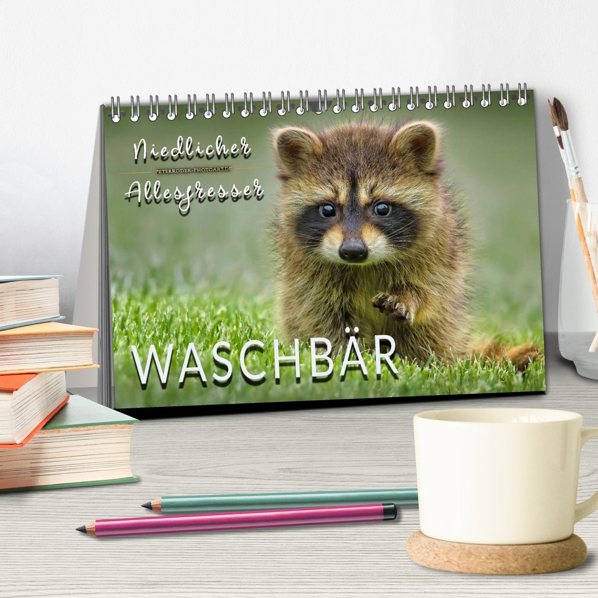 Bild: 9783435333868 | Waschbär - Niedlicher Allesfresser (Tischkalender 2025 DIN A5...