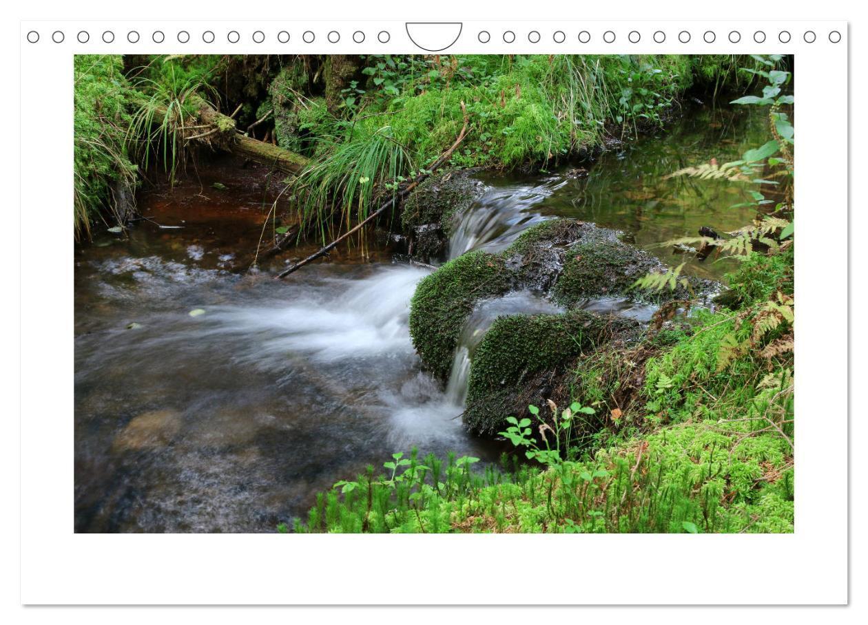 Bild: 9783435405565 | Zauberhafte Landschaften im Odenwald (Wandkalender 2025 DIN A4...