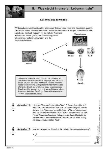 Bild: 9783866327474 | Lernwerkstatt - Grundlagen unserer Ernährung | Christine Schlote