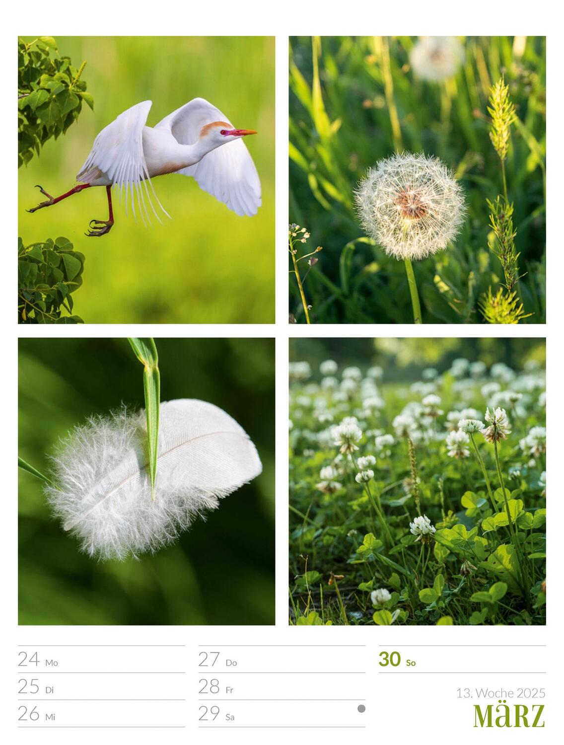 Bild: 9783838425818 | Farben der Natur - Wochenplaner Kalender 2025 | Ackermann Kunstverlag