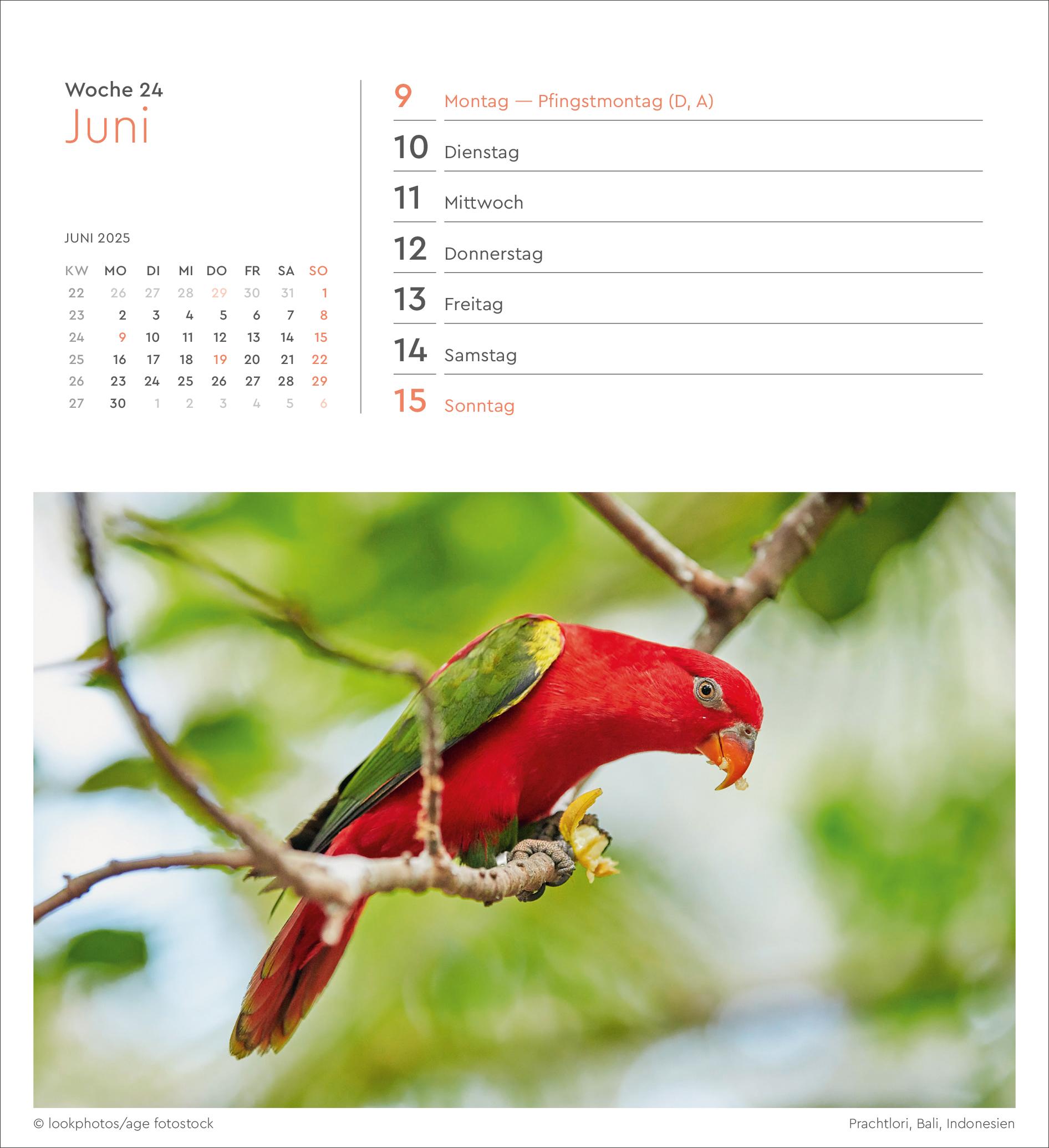 Bild: 9783965913905 | Summertime - KUNTH Postkartenkalender 2025 | Kalender | 53 S. | 2025