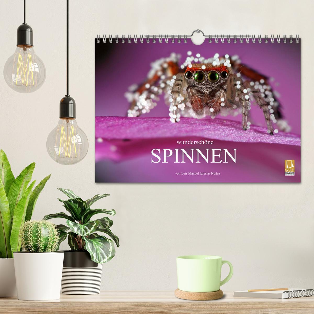 Bild: 9783435808519 | Wunderschöne Spinnen (Wandkalender 2025 DIN A4 quer), CALVENDO...