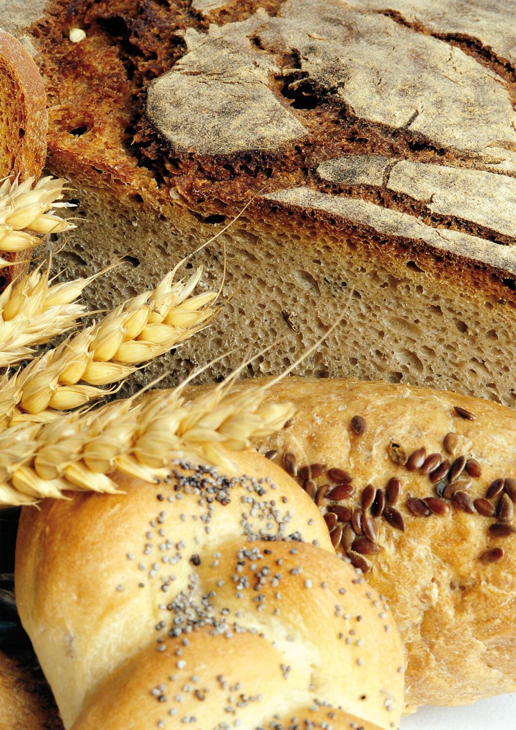 Bild: 9783706623964 | Cilli Reisingers Brotbackbuch | Einfach gute Rezepte vom Bauernhof