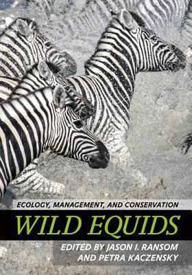 Cover: 9781421419091 | Wild Equids | Ecology, Management, and Conservation | Ransom (u. a.)