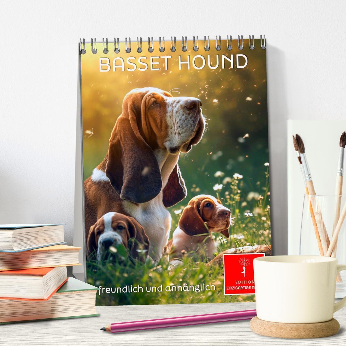 Bild: 9783383779923 | Basset Hound - freundlich und anhänglich (Tischkalender 2025 DIN A5...