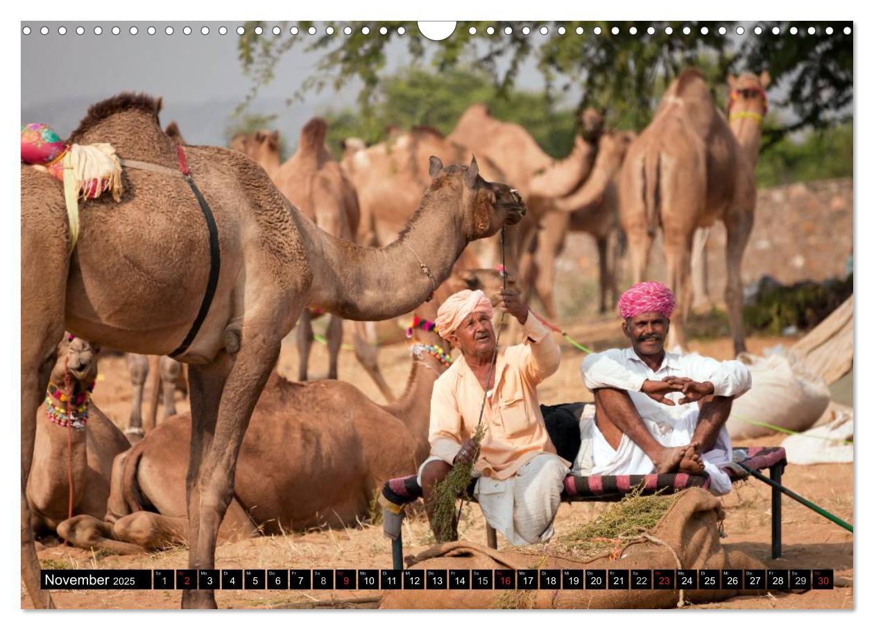 Bild: 9783435627349 | Indien - Rajasthan (Wandkalender 2025 DIN A3 quer), CALVENDO...