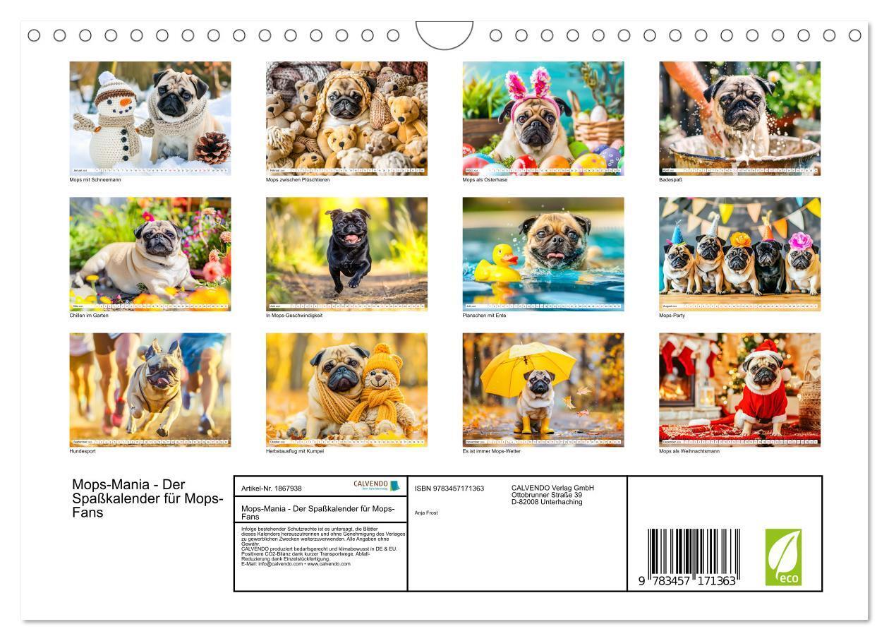 Bild: 9783457171363 | Mops-Mania - Der Spaßkalender für Mops-Fans (Wandkalender 2025 DIN...