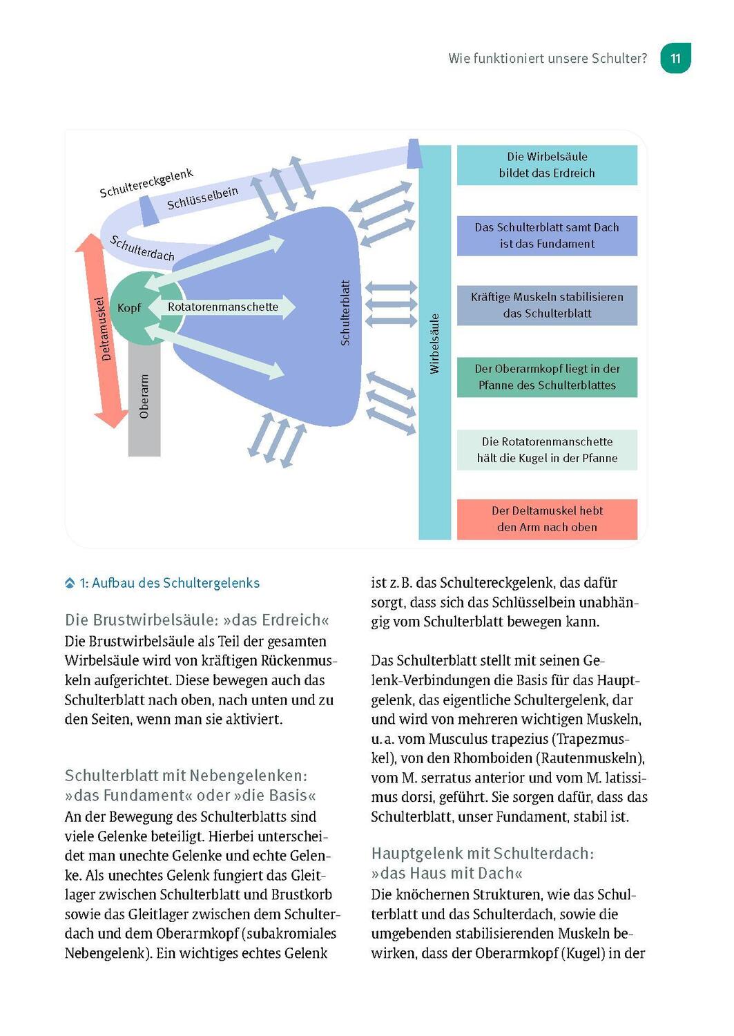 Bild: 9783432117294 | Experten-Sprechstunde Schulter | Marc Schnetzke (u. a.) | Taschenbuch