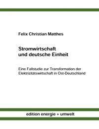 Cover: 9783898118064 | Stromwirtschaft und deutsche Einheit | Felix Christian Matthes | Buch