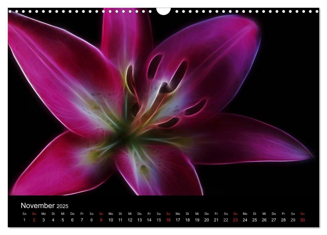 Bild: 9783435771554 | Floral Abstrakt 2025 (Wandkalender 2025 DIN A3 quer), CALVENDO...