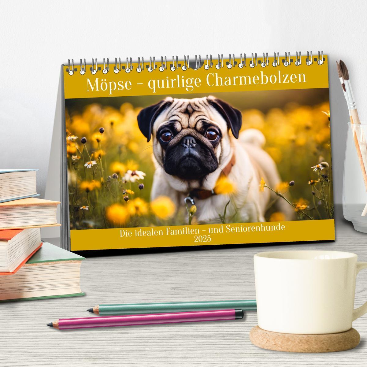 Bild: 9783435652495 | Möpse - quirlige Charmebolzen (Tischkalender 2025 DIN A5 quer),...