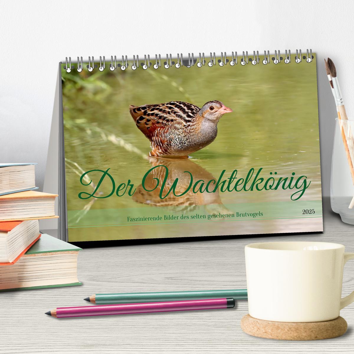 Bild: 9783383860577 | Der Wachtelkönig (Tischkalender 2025 DIN A5 quer), CALVENDO...