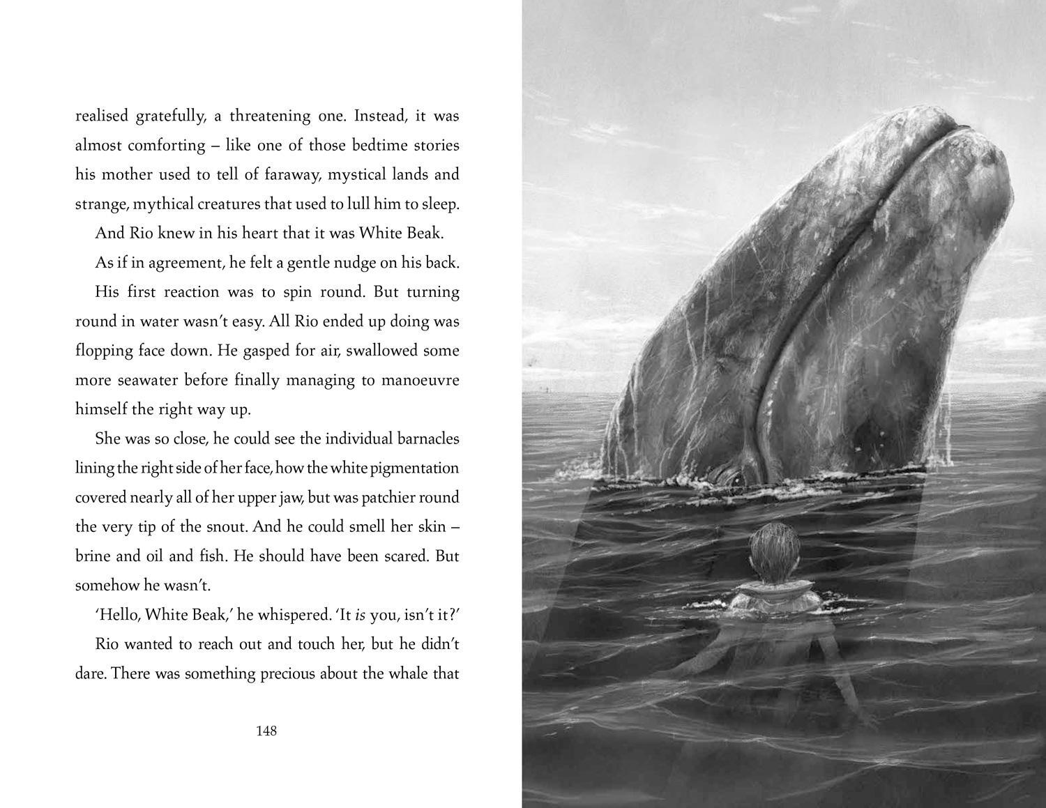 Bild: 9780008412968 | The Lost Whale | Hannah Gold | Taschenbuch | 336 S. | Englisch | 2023