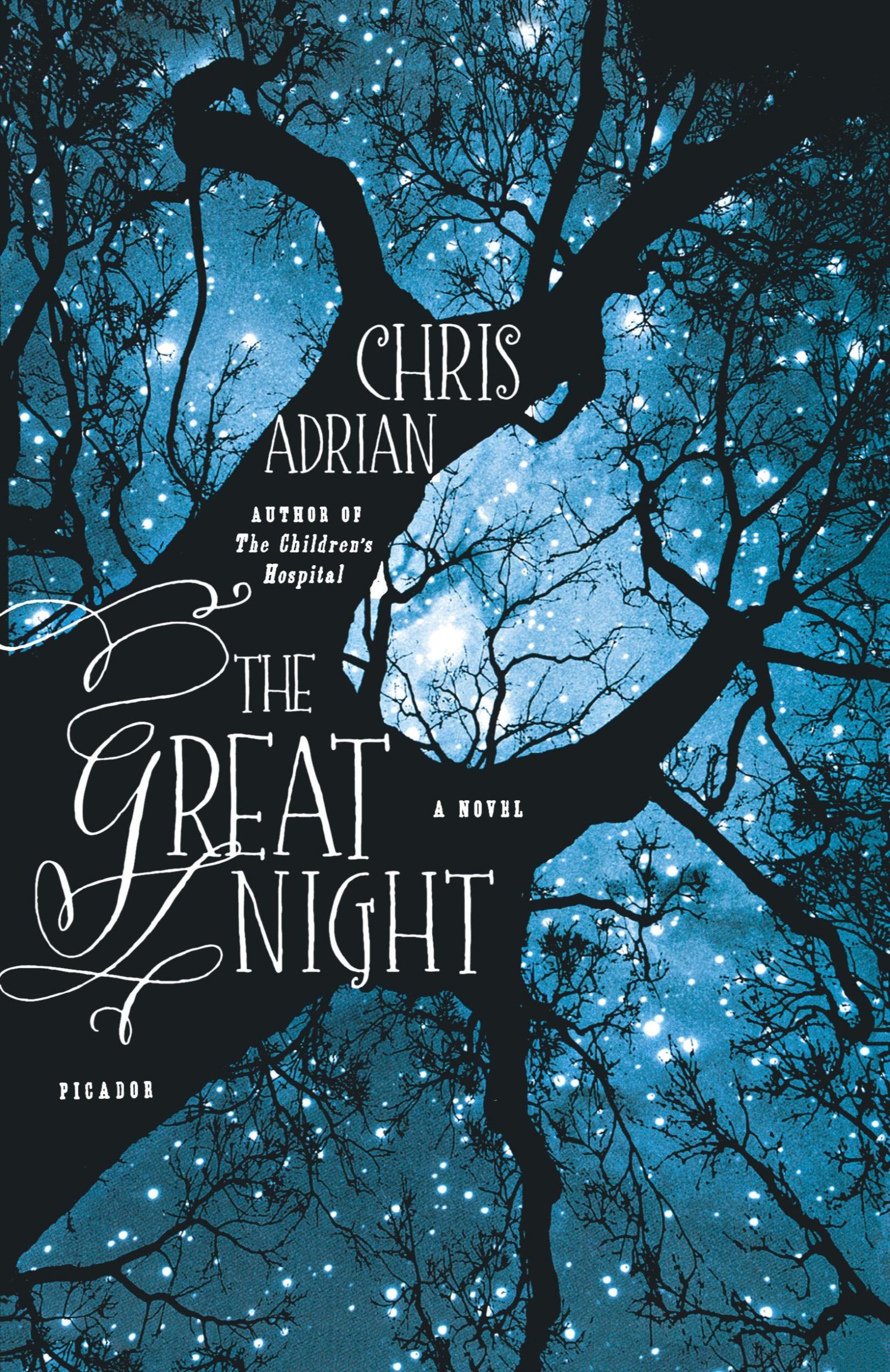 Cover: 9781250007384 | GREAT NIGHT | Chris Adrian | Taschenbuch | Englisch | 2012