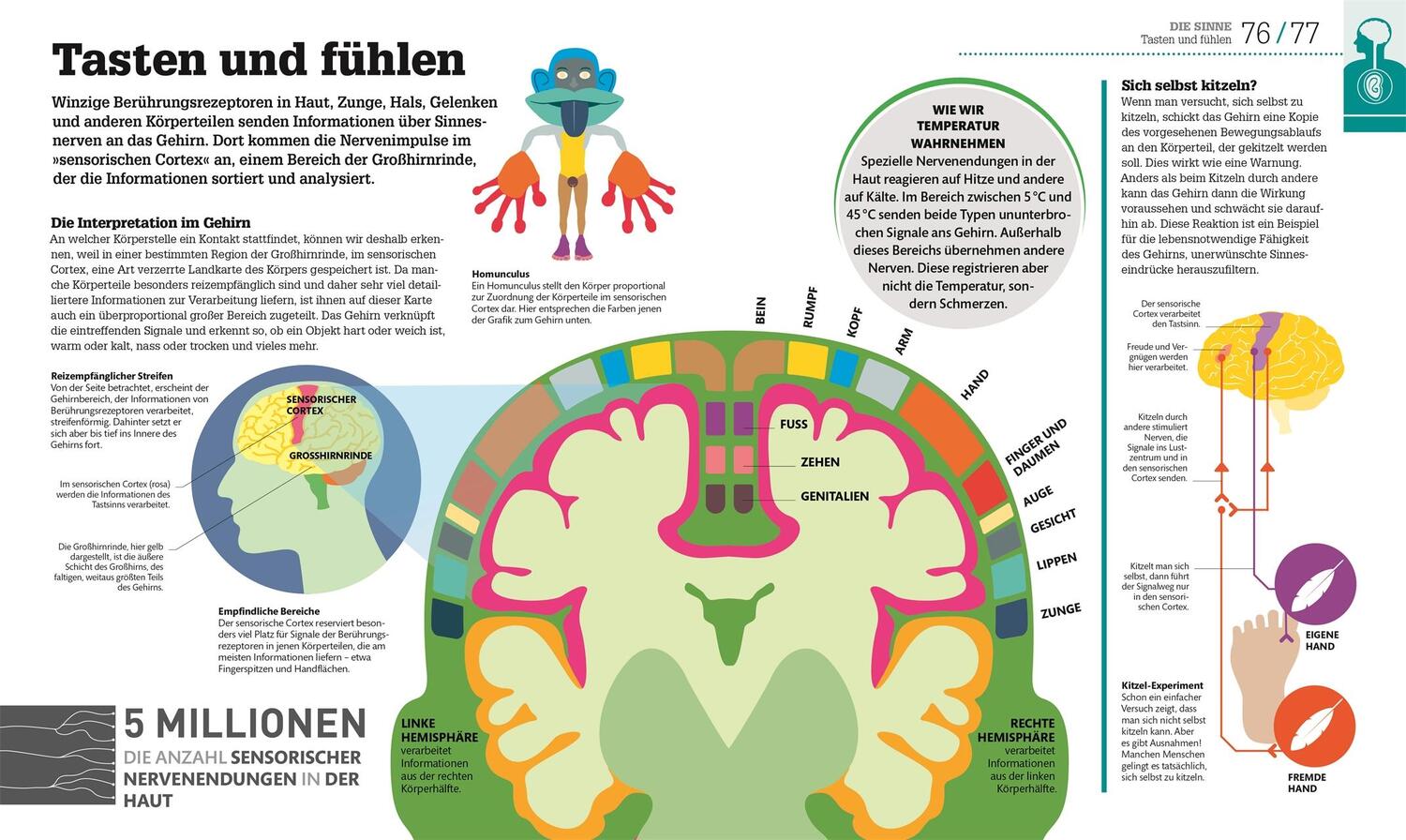 Bild: 9783831032693 | Der menschliche Körper | und wie er funktioniert | a | Buch | 256 S.