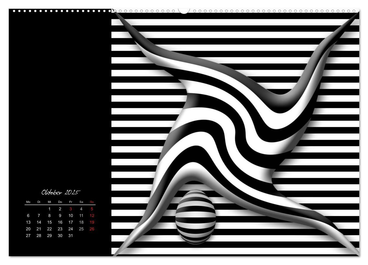 Bild: 9783435794522 | Schwarz trifft Weiß (Wandkalender 2025 DIN A2 quer), CALVENDO...
