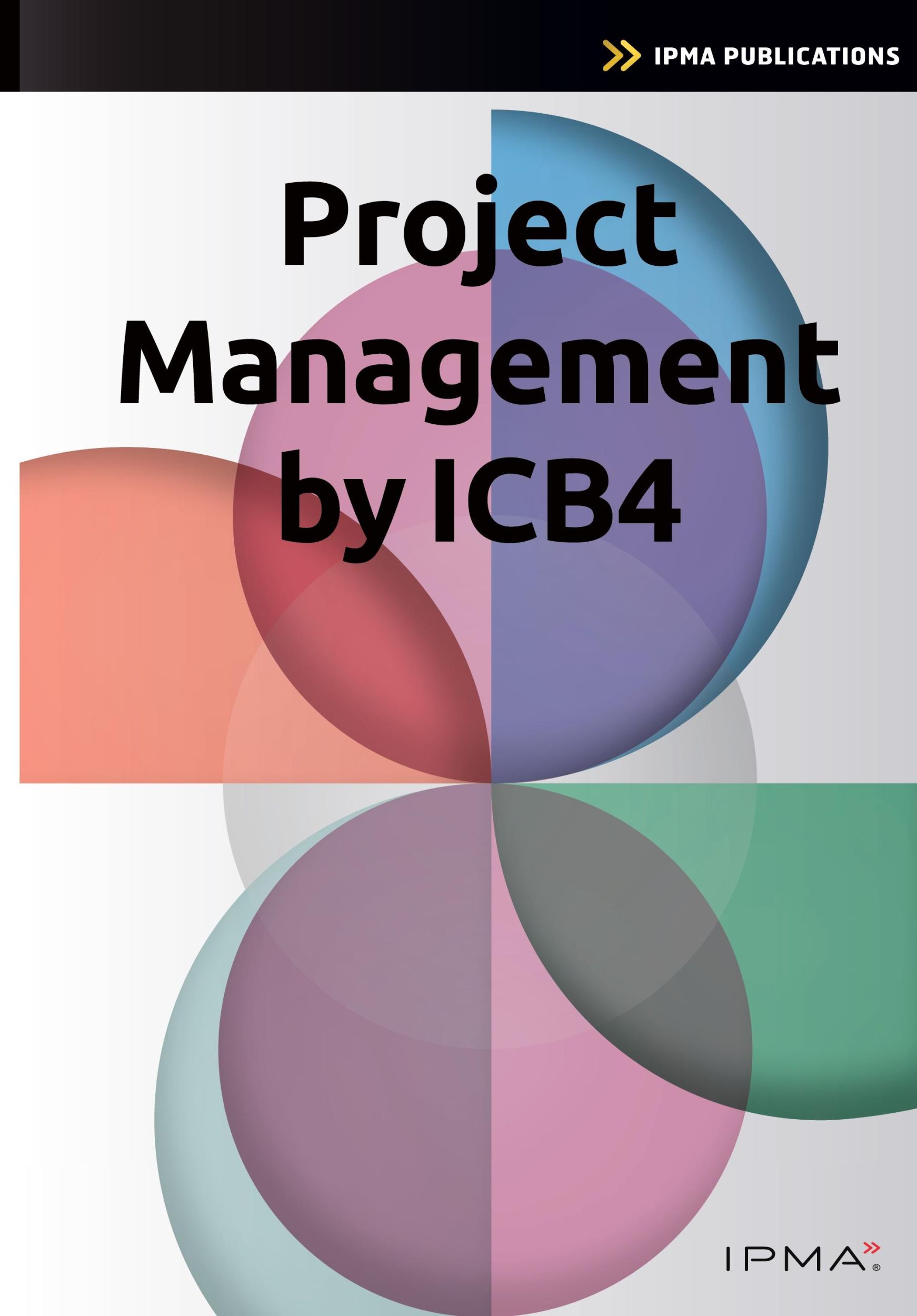 Cover: 9789401810920 | Project Management by Icb4 | Bert Hedeman (u. a.) | Taschenbuch | 2023