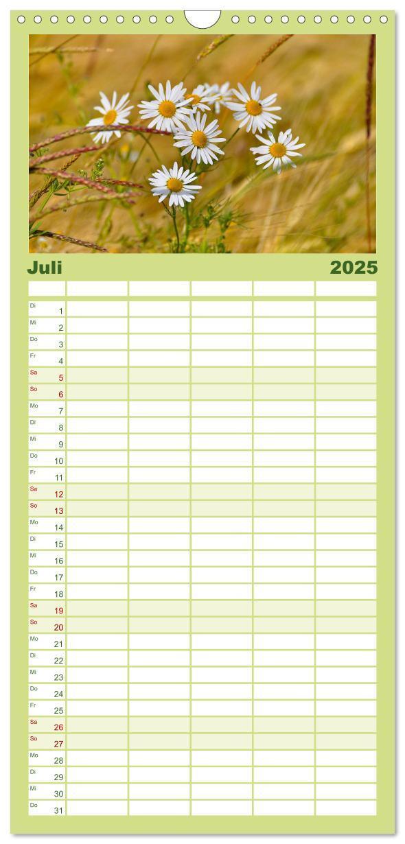 Bild: 9783457120347 | Familienplaner 2025 - Wildblumen 2025 mit 5 Spalten (Wandkalender,...