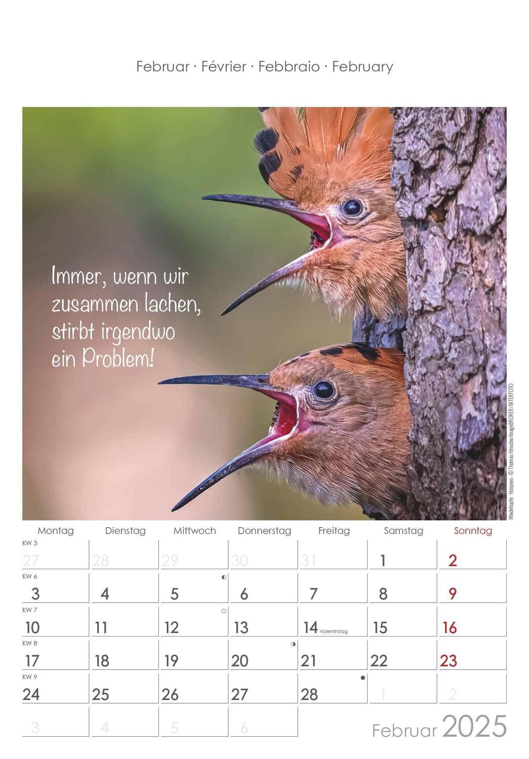 Bild: 4251732341039 | Kleine Freunde 2025 - Bildkalender 23,7x34 cm - Kalender mit Platz...